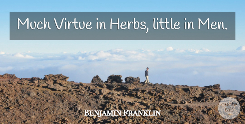 Benjamin Franklin Quote About Men, Herbs, Littles: Much Virtue In Herbs Little...