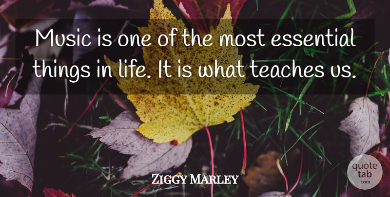 Ziggy Marley Quote About Things In Life, Essentials, Music Is: Music Is One Of The...