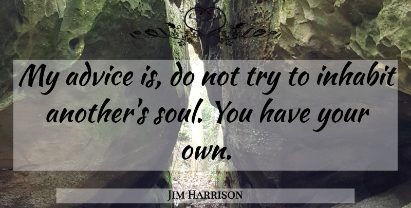 Jim Harrison Quote About Advice, Soul, Trying: My Advice Is Do Not...