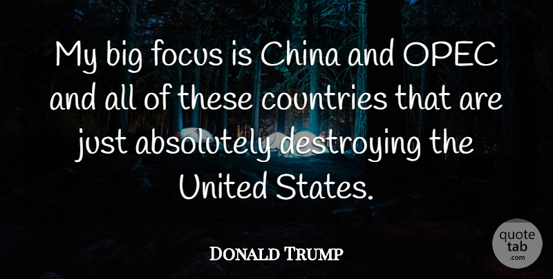 Donald Trump Quote About Country, Focus, United States: My Big Focus Is China...