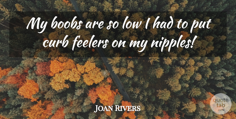 Joan Rivers Quote About Nipples, Lows, Feeler: My Boobs Are So Low...