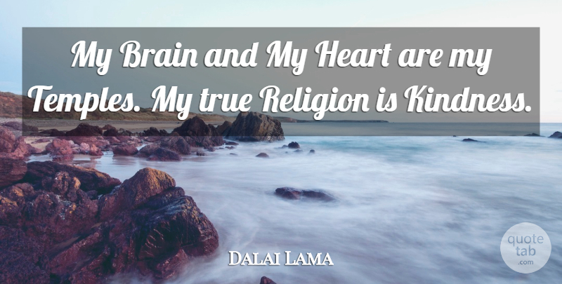 Dalai Lama Quote About Kindness, Heart, Brain: My Brain And My Heart...
