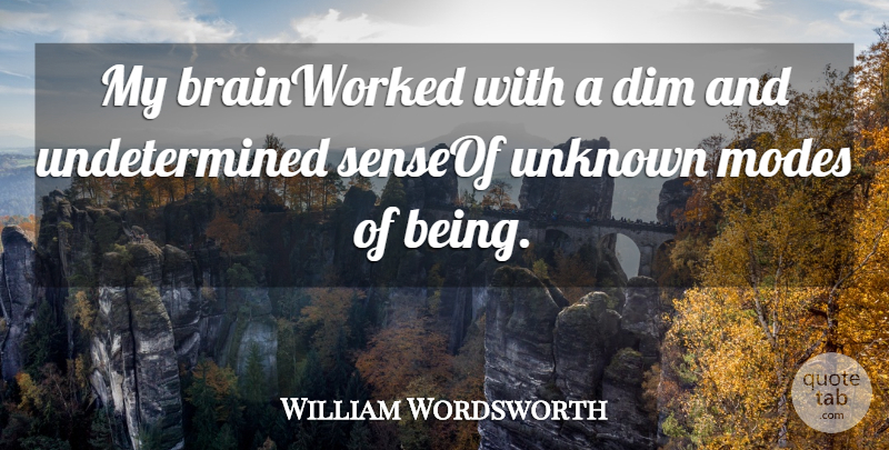 William Wordsworth Quote About Brains, Dim, Modes, Unknown: My Brainworked With A Dim...