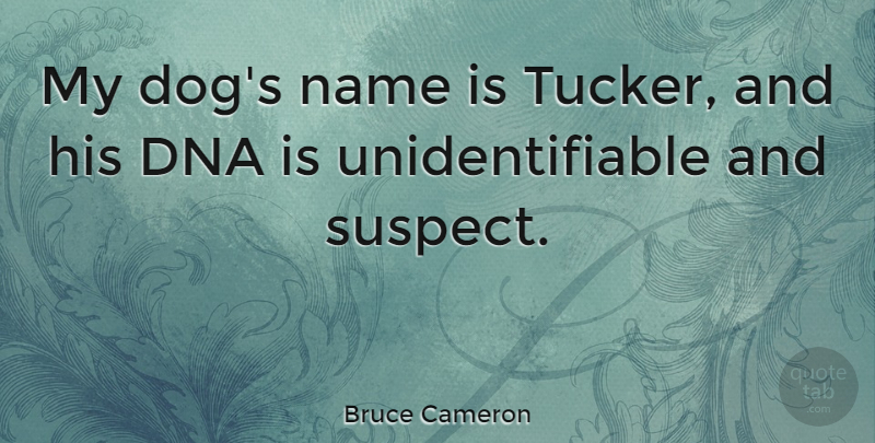 Bruce Cameron Quote About undefined: My Dogs Name Is Tucker...