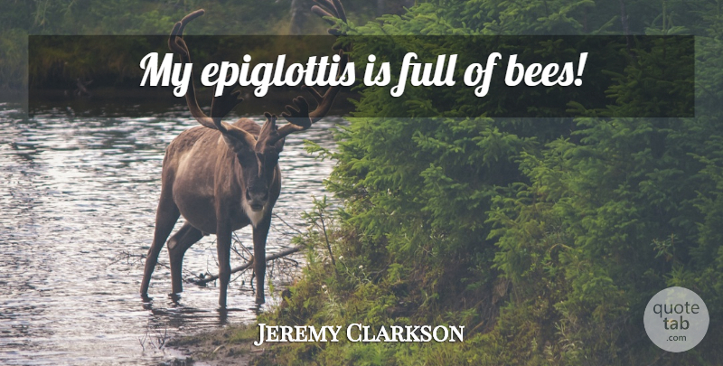 Jeremy Clarkson Quote About Bees: My Epiglottis Is Full Of...