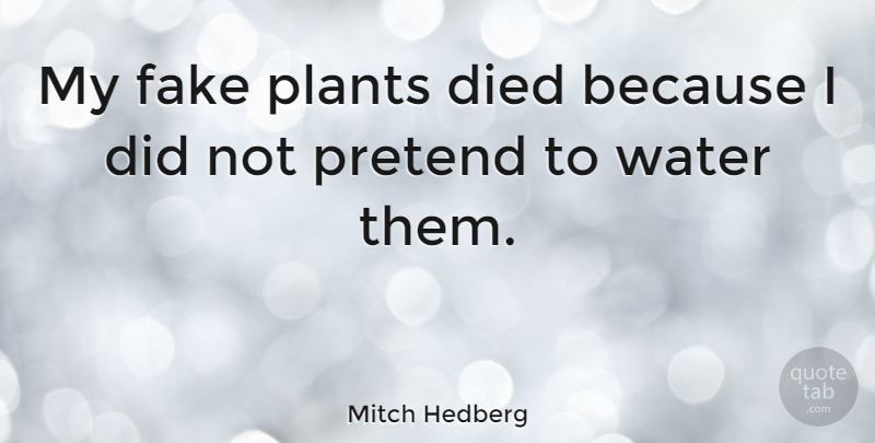 Mitch Hedberg Quote About Funny, Leadership, Sarcastic: My Fake Plants Died Because...