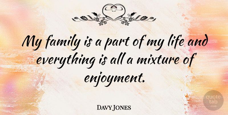 Davy Jones Quote About Mixtures, My Family, Enjoyment: My Family Is A Part...