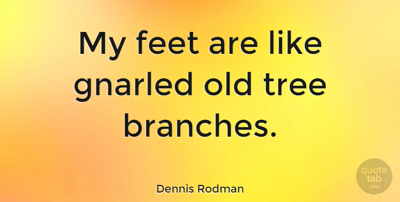 Dennis Rodman Quote About Basketball, Feet, Tree: My Feet Are Like Gnarled...