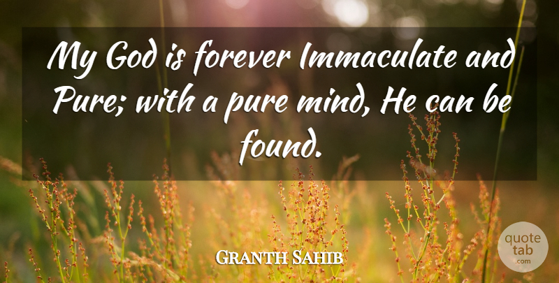 Granth Sahib Quote About Forever, God, Immaculate, Pure: My God Is Forever Immaculate...