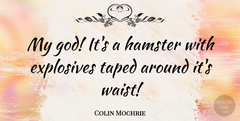Colin Mochrie Quote About God: My God Its A Hamster...