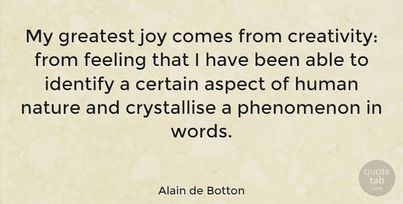 Alain de Botton Quote About Aspect, Certain, Feeling, Greatest, Human: My Greatest Joy Comes From...