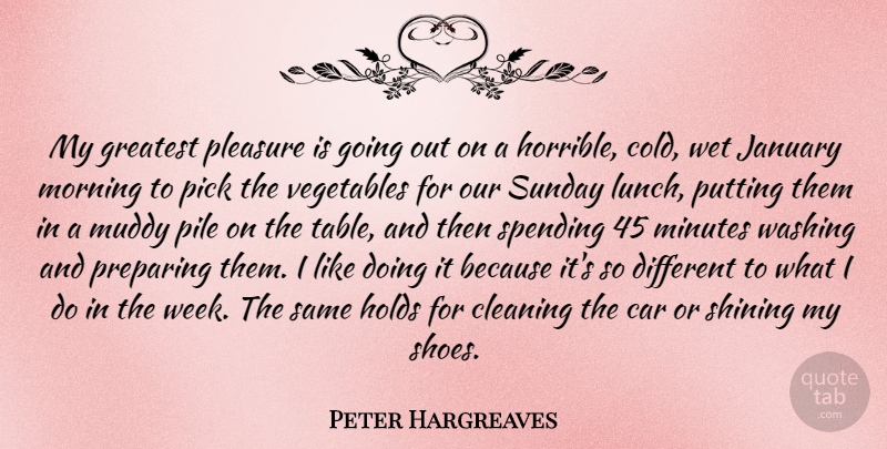 Peter Hargreaves Quote About Car, Cleaning, Greatest, Holds, January: My Greatest Pleasure Is Going...