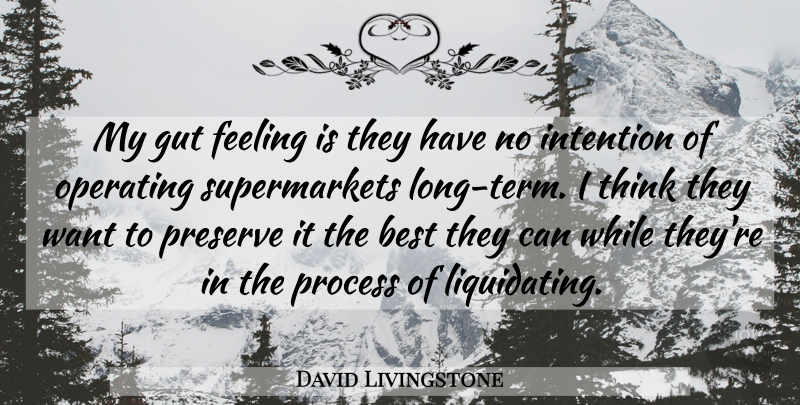 David Livingstone Quote About Best, Feeling, Gut, Intention, Operating: My Gut Feeling Is They...