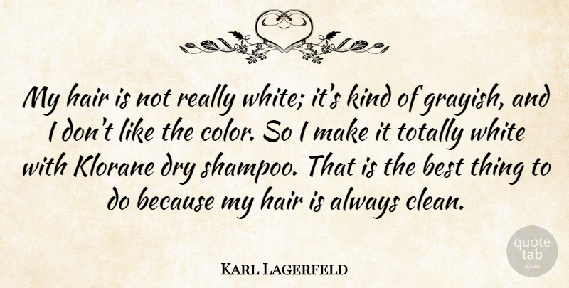 Karl Lagerfeld Quote About Hair, Color, White: My Hair Is Not Really...