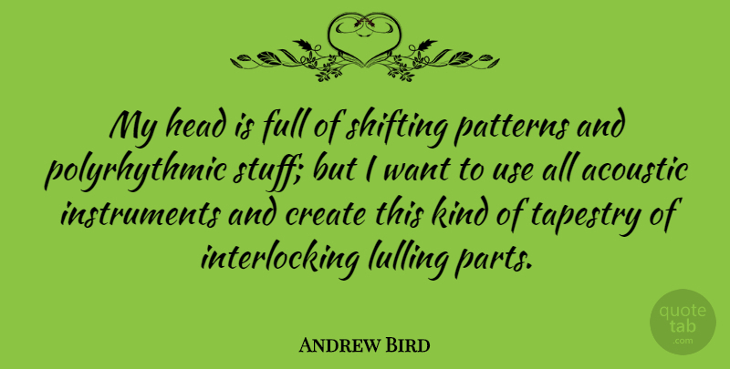 Andrew Bird Quote About Acoustic, Full, Patterns, Shifting: My Head Is Full Of...