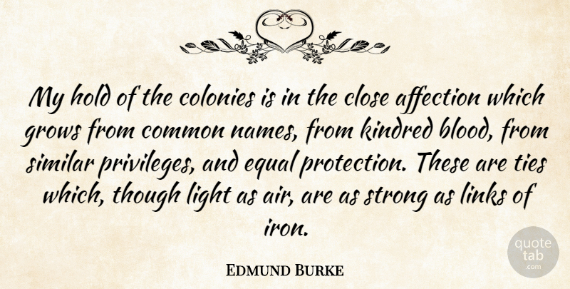 Edmund Burke Quote About Strong, Light, Air: My Hold Of The Colonies...
