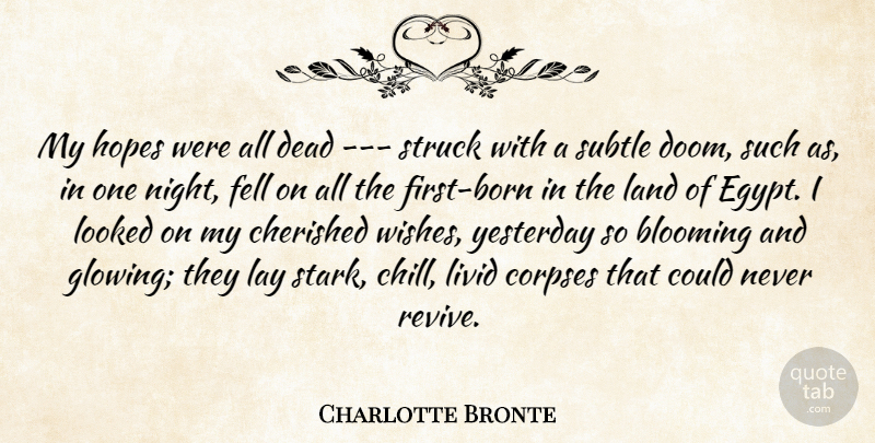 Charlotte Bronte Quote About Disappointment, Night, Egypt: My Hopes Were All Dead...