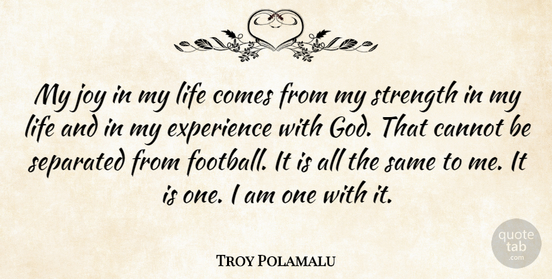 Troy Polamalu Quote About Cannot, Experience, God, Joy, Life: My Joy In My Life...