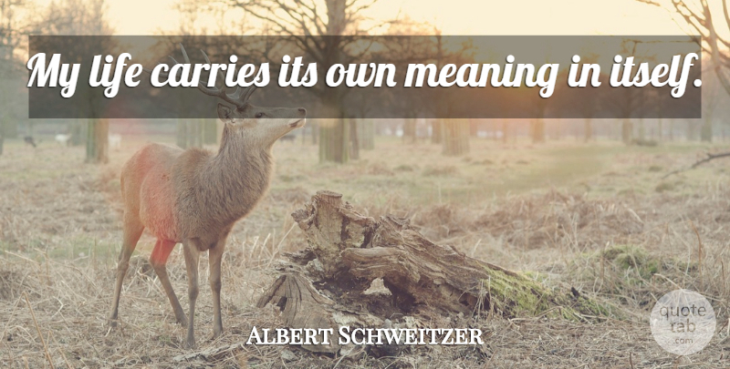 Albert Schweitzer Quote About Life, Meaning Of Life, Life Means: My Life Carries Its Own...