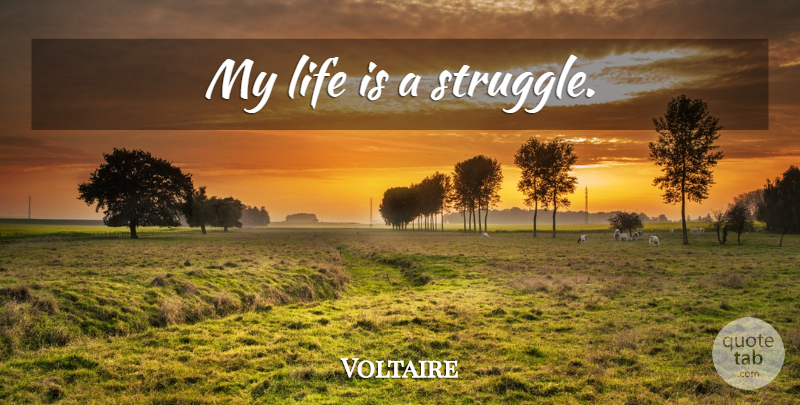 Voltaire Quote About Life, Struggle, Life Is: My Life Is A Struggle...