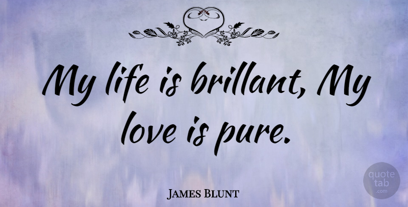 James Blunt Quote About Stupid, Love Is, Life Is: My Life Is Brillant My...