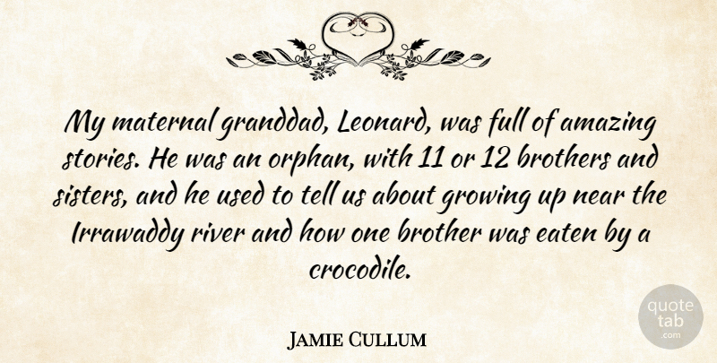 Jamie Cullum Quote About Amazing, Brother, Brothers, Eaten, Full: My Maternal Granddad Leonard Was...