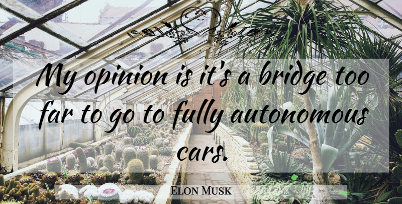 Elon Musk Quote About Bridges, Car, Opinion: My Opinion Is Its A...