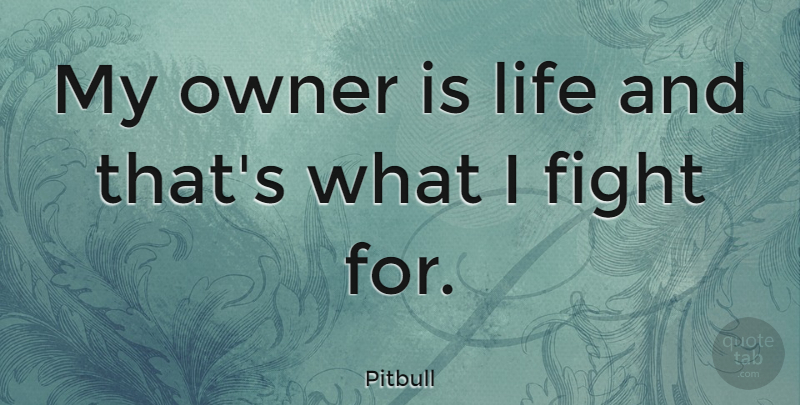 Pitbull Quote About Fighting, Owners: My Owner Is Life And...