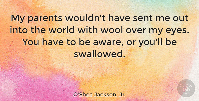 O'Shea Jackson, Jr. Quote About Wool: My Parents Wouldnt Have Sent...