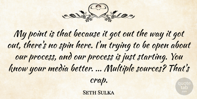 Seth Sulka Quote About Media, Multiple, Open, Point, Process: My Point Is That Because...
