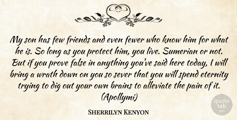 Sherrilyn Kenyon Quote About Pain, Son, Wrath: My Son Has Few Friends...