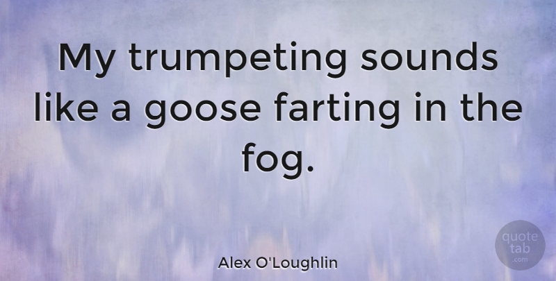 Alex O'Loughlin Quote About Fog, Sound, Geese: My Trumpeting Sounds Like A...