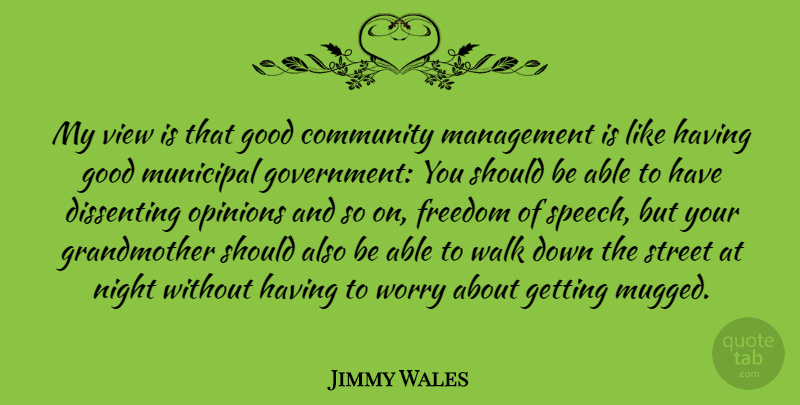 Jimmy Wales Quote About Grandmother, Night, Government: My View Is That Good...