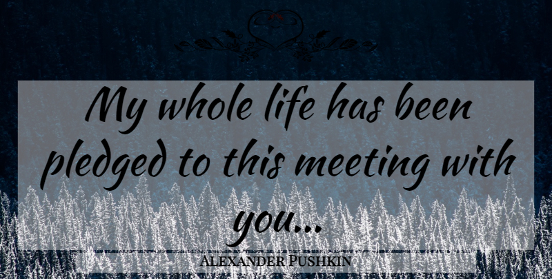 Alexander Pushkin Quote About Whole Life, Meetings, Has Beens: My Whole Life Has Been...