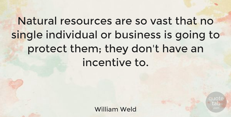 William Weld Quote About Incentives, Natural, Individual: Natural Resources Are So Vast...