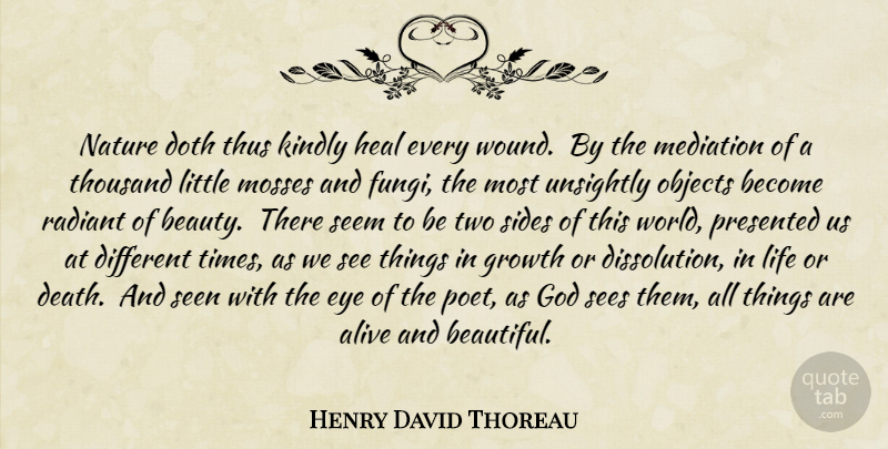 Henry David Thoreau Quote About Beautiful, Eye, Two Sides: Nature Doth Thus Kindly Heal...