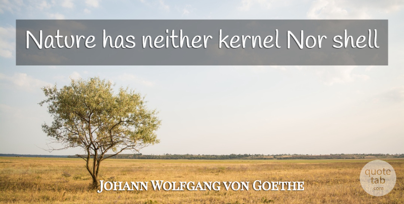 Johann Wolfgang von Goethe Quote About Statistics, Shells, Kernel: Nature Has Neither Kernel Nor...