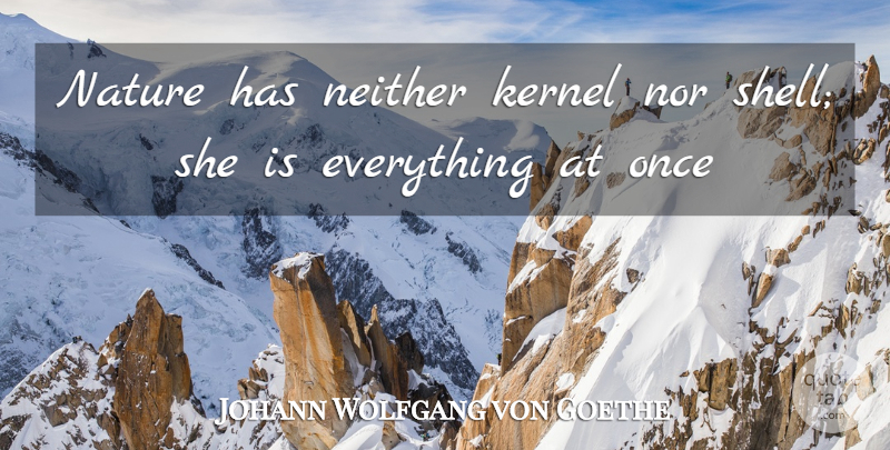 Johann Wolfgang von Goethe Quote About Kernel, Nature, Neither, Nor: Nature Has Neither Kernel Nor...