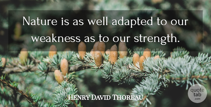 Henry David Thoreau Quote About Inspirational, Weakness, Wells: Nature Is As Well Adapted...