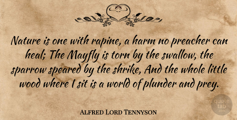 Alfred Lord Tennyson Quote About Nature, World, Sparrows: Nature Is One With Rapine...