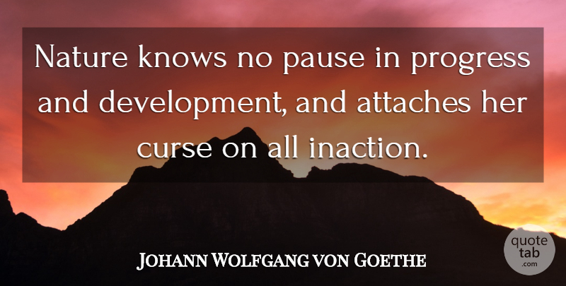 Johann Wolfgang von Goethe Quote About Nature, Progress, Development: Nature Knows No Pause In...