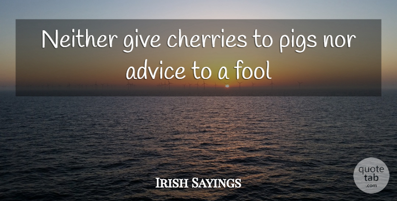 Irish Sayings Quote About Advice, Cherries, Fool, Neither, Nor: Neither Give Cherries To Pigs...