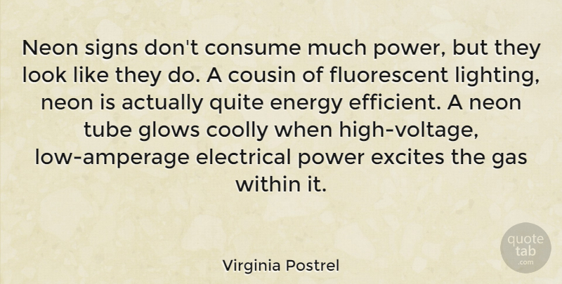 Virginia Postrel Quote About Consume, Cousin, Electrical, Excites, Gas: Neon Signs Dont Consume Much...