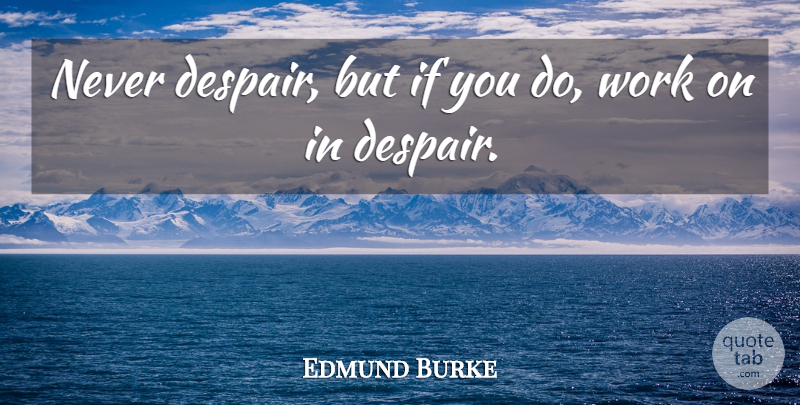 Edmund Burke Quote About Inspiring, Sad, Perseverance: Never Despair But If You...