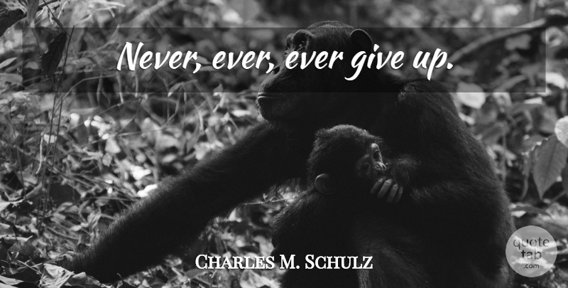 Charles M. Schulz Quote About Giving Up, Persistence, Giving: Never Ever Ever Give Up...