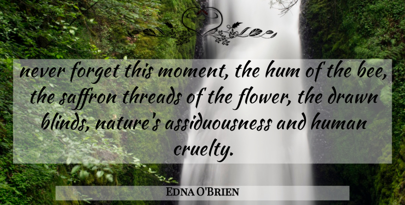 Edna O'Brien Quote About Flower, Bees, Saffron: Never Forget This Moment The...