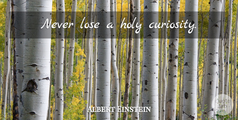 Albert Einstein Quote About Love, Inspirational, Life: Never Lose A Holy Curiosity...