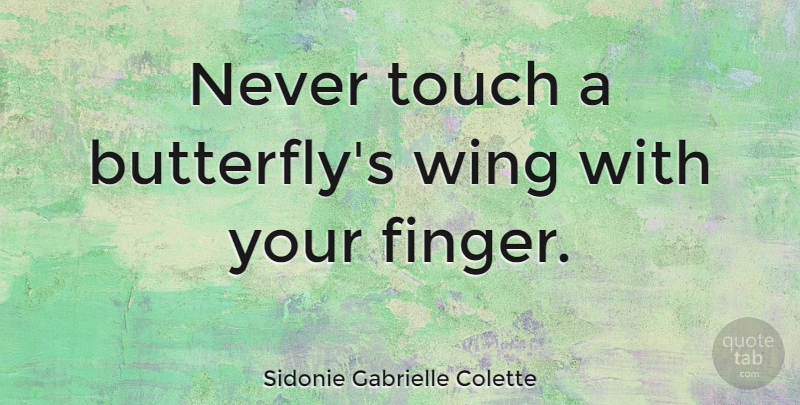 Sidonie Gabrielle Colette Quote About Butterfly, Butterfly Wings, Wings: Never Touch A Butterflys Wing...