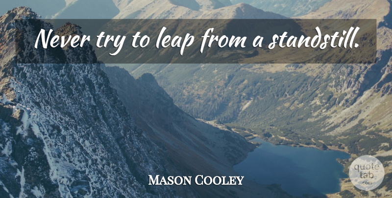 Mason Cooley Quote About Trying, Literature, Leap: Never Try To Leap From...