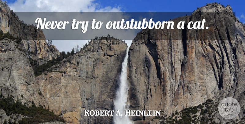 Robert A. Heinlein Quote About Cat, Trying: Never Try To Outstubborn A...